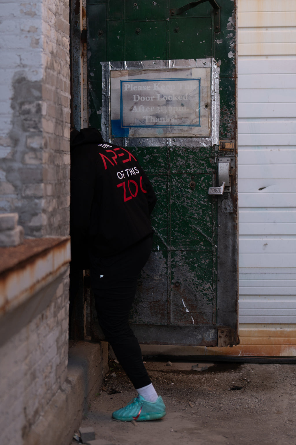 THE APEX OF THIS ZOO -- HOODIE 2XL