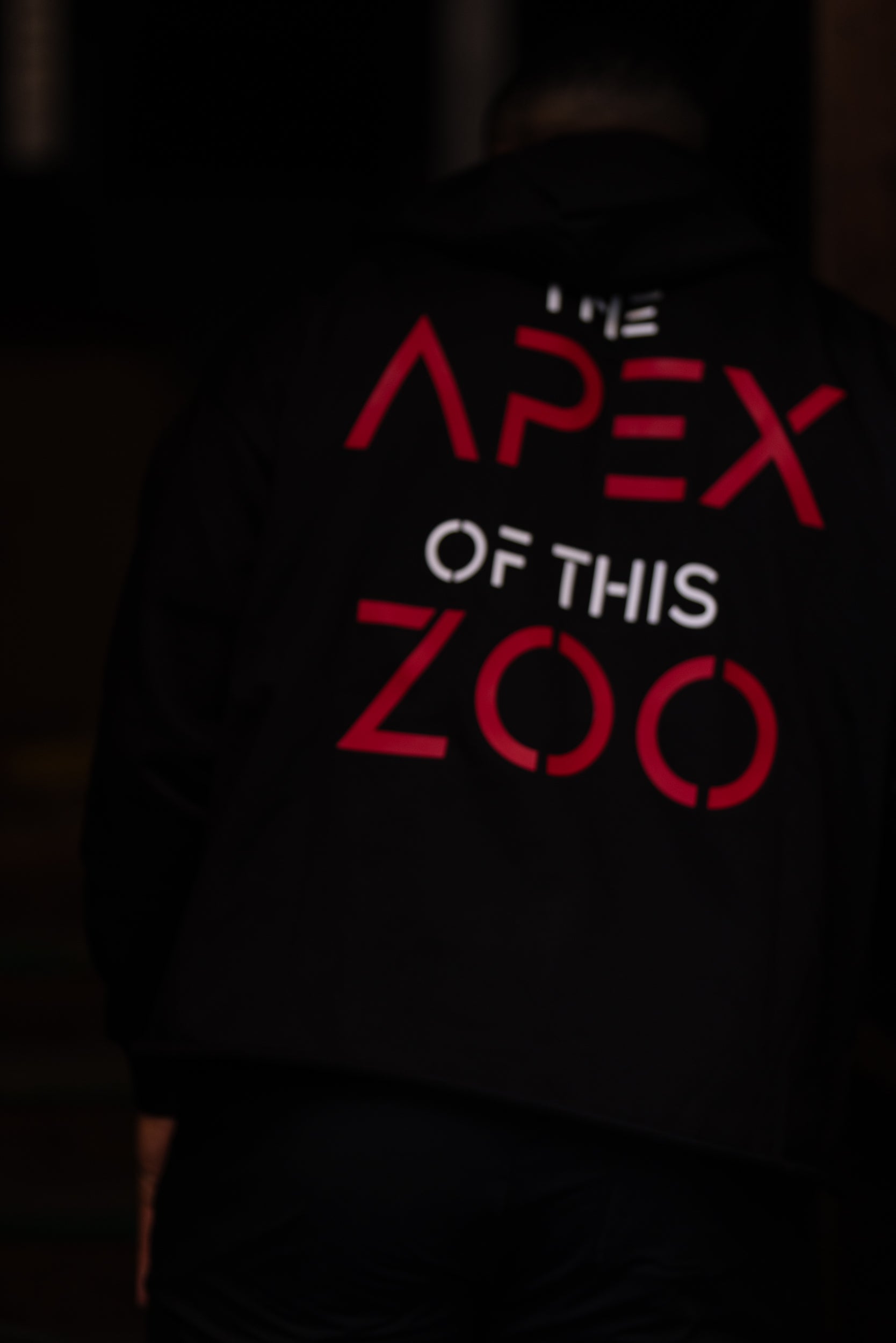 THE APEX OF THIS ZOO -- HOODIE 2XL