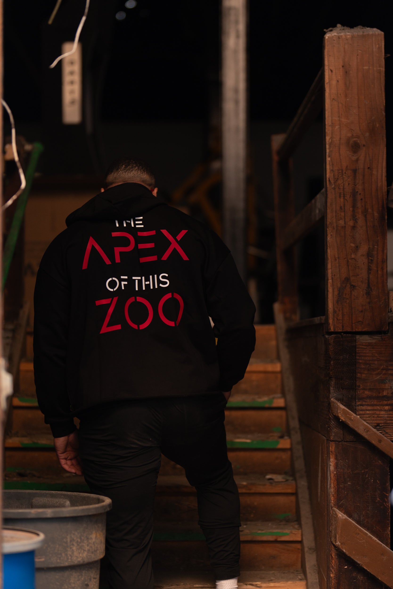 THE APEX OF THIS ZOO -- HOODIE 2XL